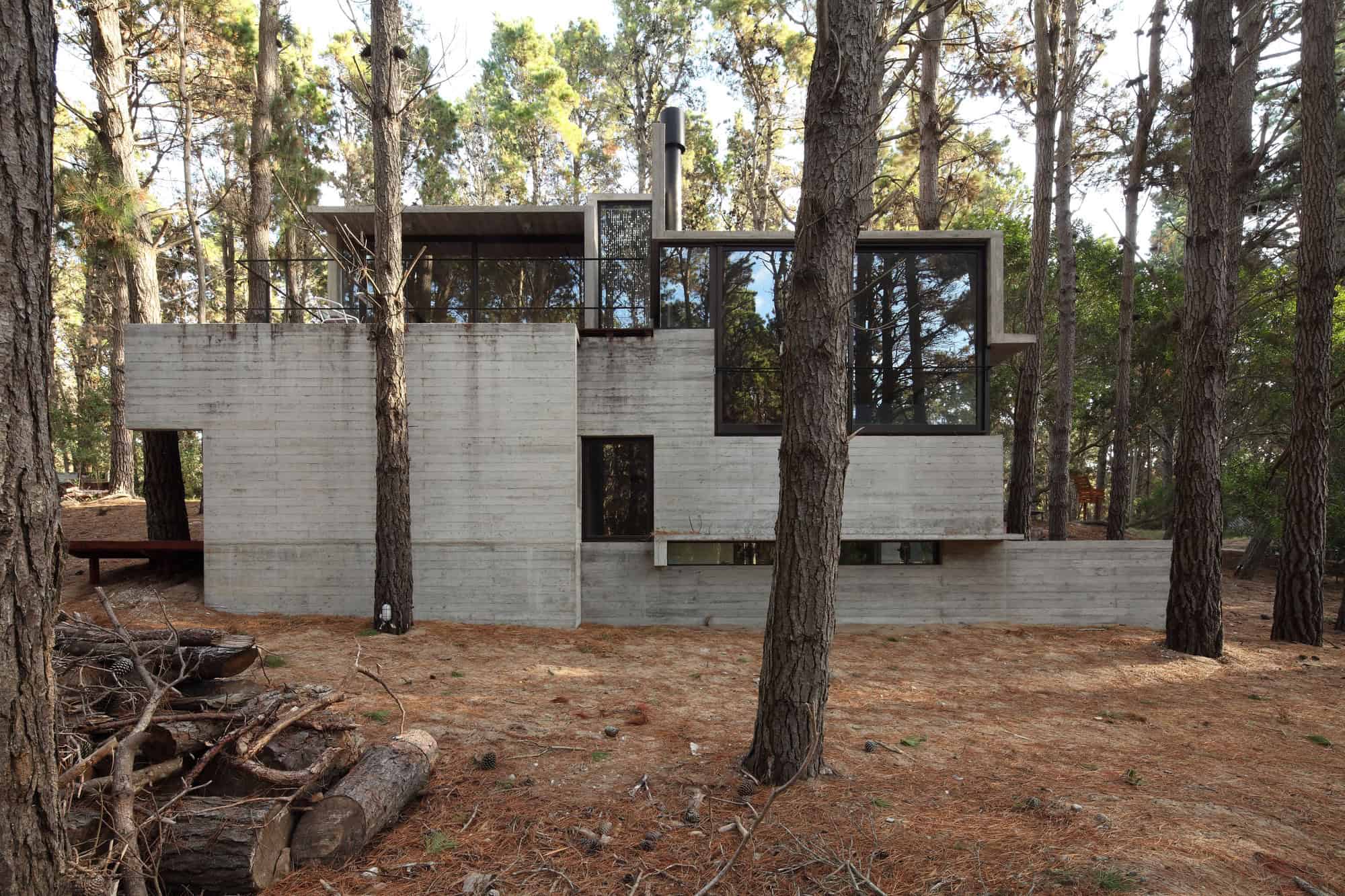 Modern minimalist concrete house design in a pine forest setting, showcasing contemporary architecture with large glass windows and sharp geometric lines.