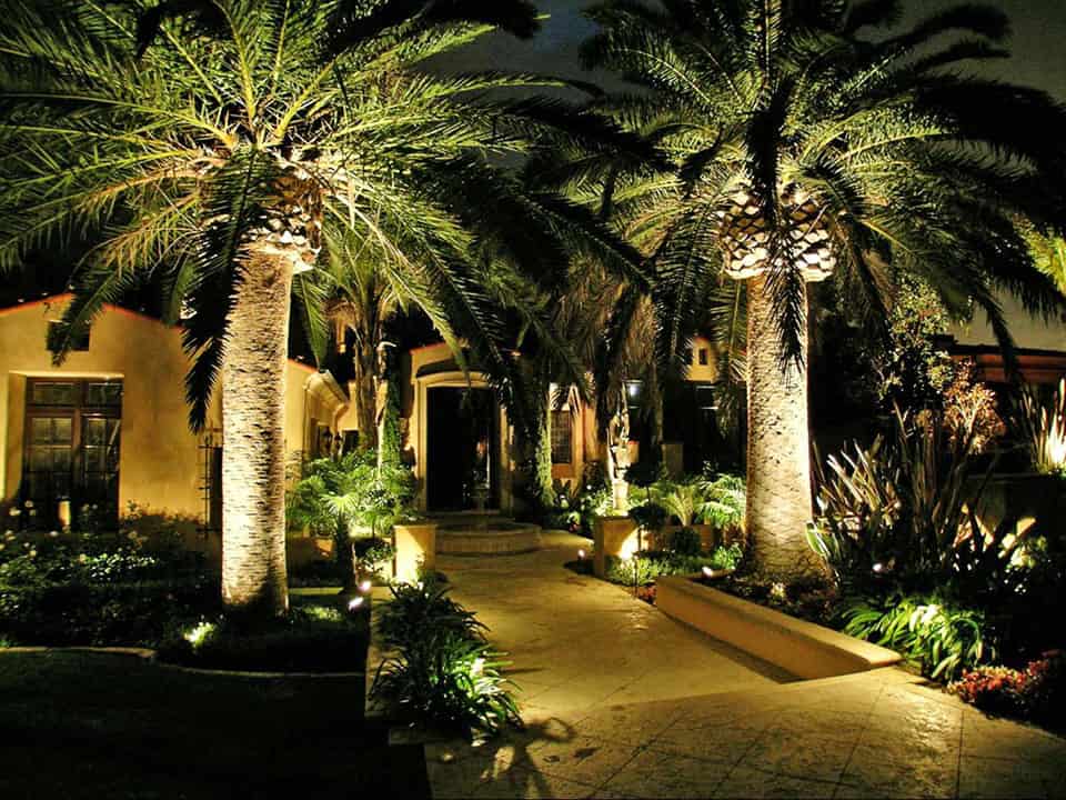 19 Exceptional Ideas To Decorate Your Landscape With Palm Trees 1