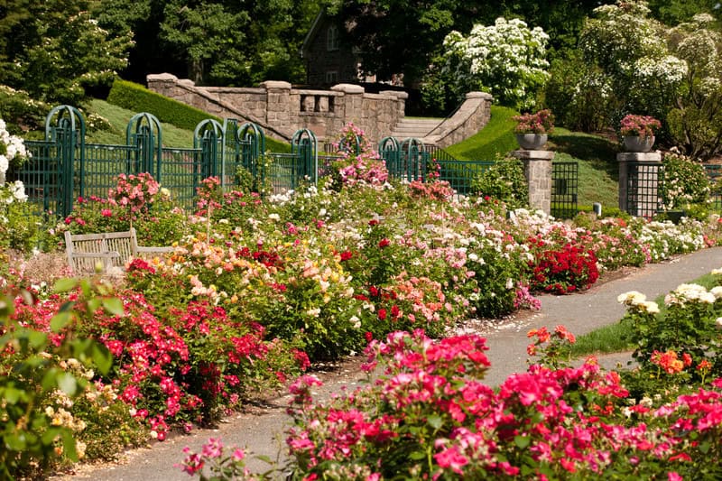 16 Brilliant Ideas To Make Garden Paradise In Your Yard 10