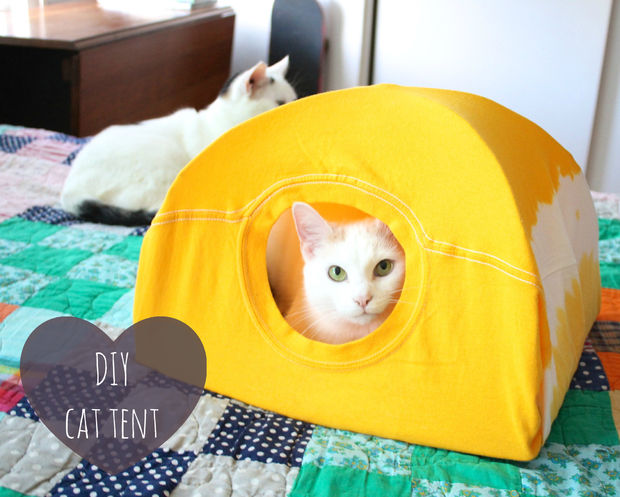 19 Most Amazing Ideas To Make Cool & Cozy Bed For Your Cat