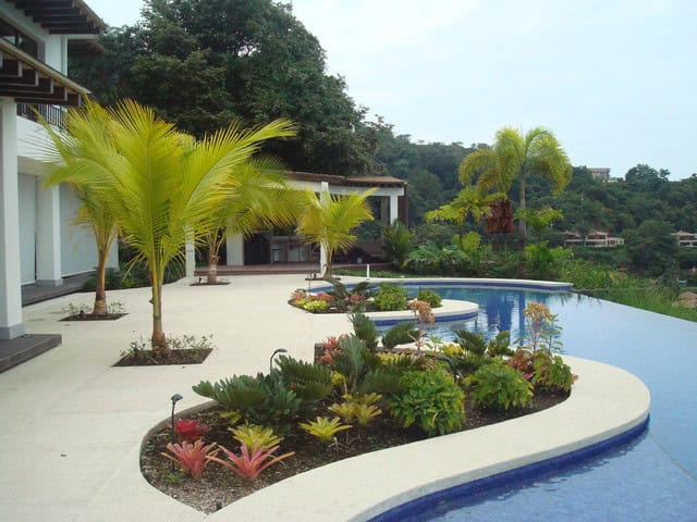 19 Exceptional Ideas To Decorate Your Landscape With Palm Trees 14