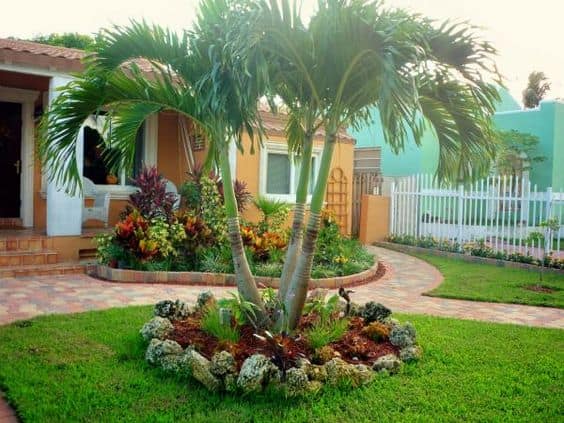 19 Exceptional Ideas To Decorate Your Landscape With Palm Trees