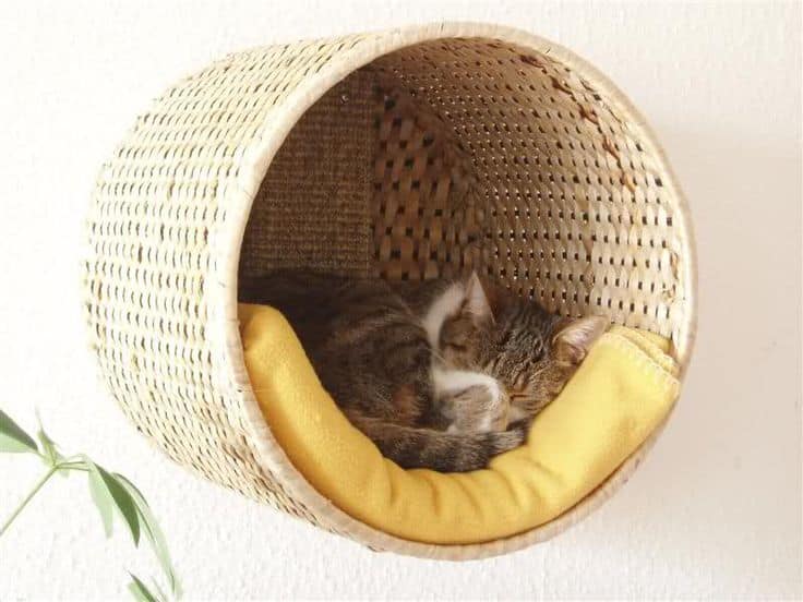 19 Most Amazing Ideas To Make Cool & Cozy Bed For Your Cat