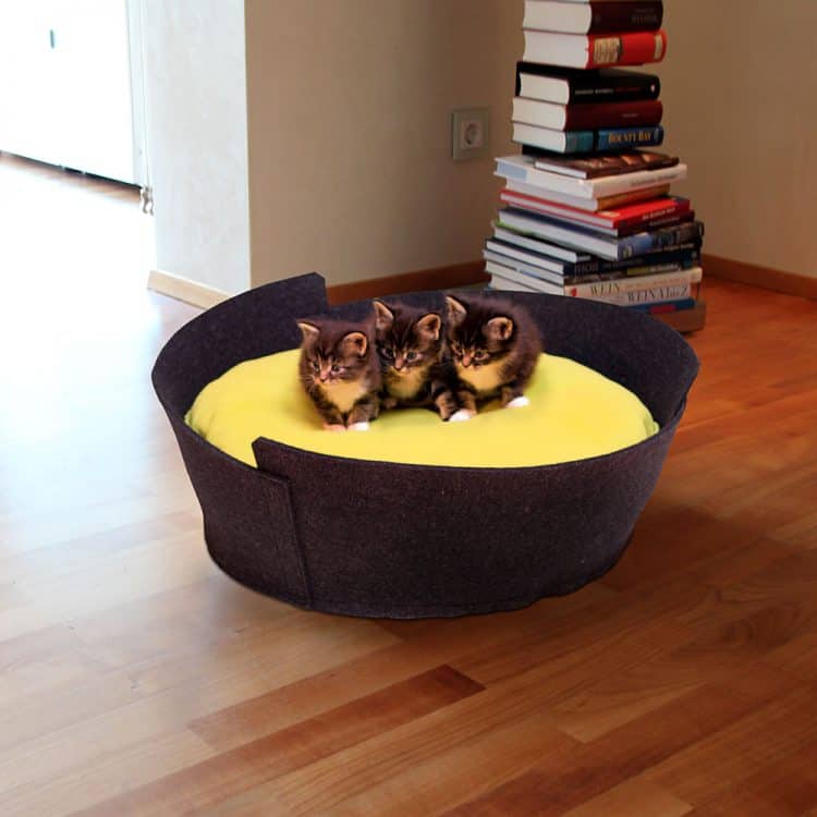 19 Most Amazing Ideas To Make Cool & Cozy Bed For Your Cat 19