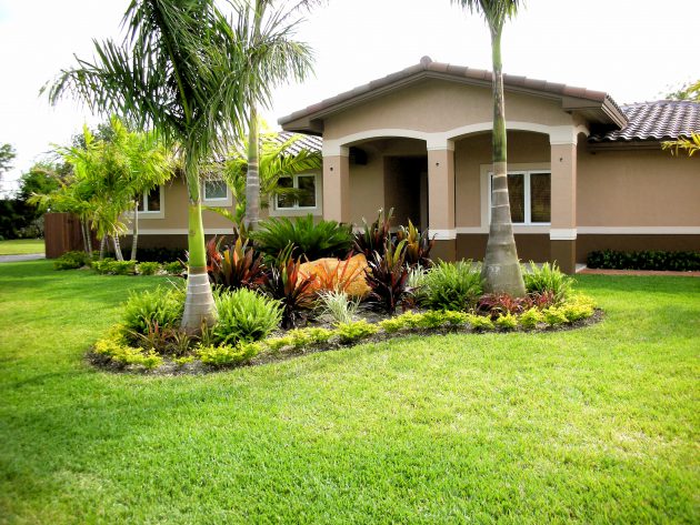 Decorate Your Landscape With Palm Trees, Front Yard Landscaping With Palm Trees