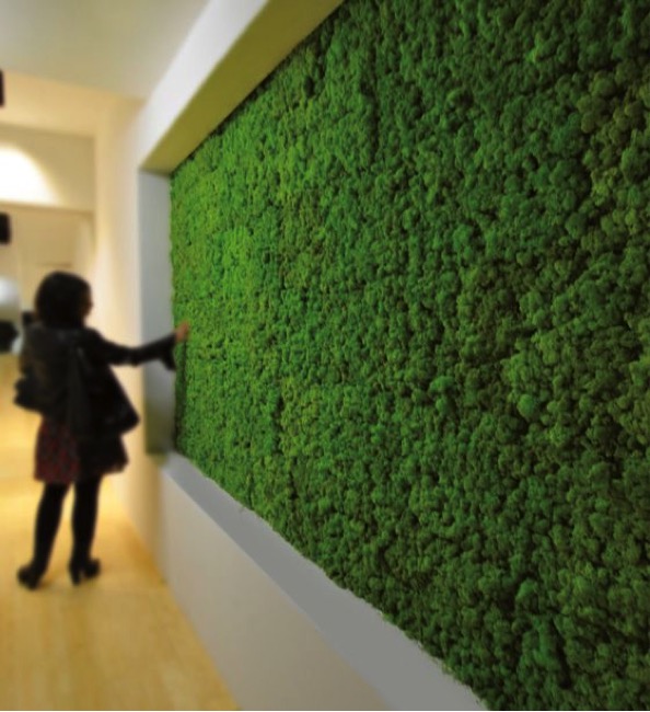Green Wall Ideas For The Interior And Exterior Of Your Home