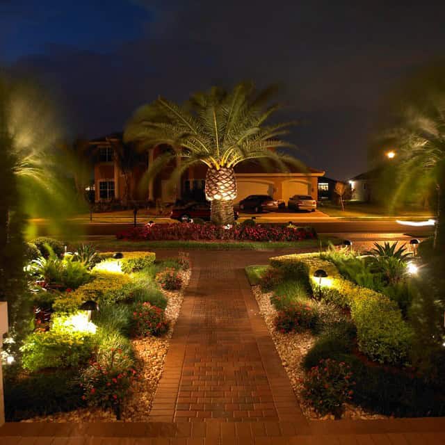 19 Exceptional Ideas To Decorate Your Landscape With Palm Trees 7
