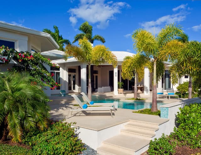 19 Exceptional Ideas To Decorate Your Landscape With Palm Trees 8