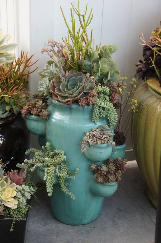 19 Really Amazing Ideas Of Repurposed Succulent Planters