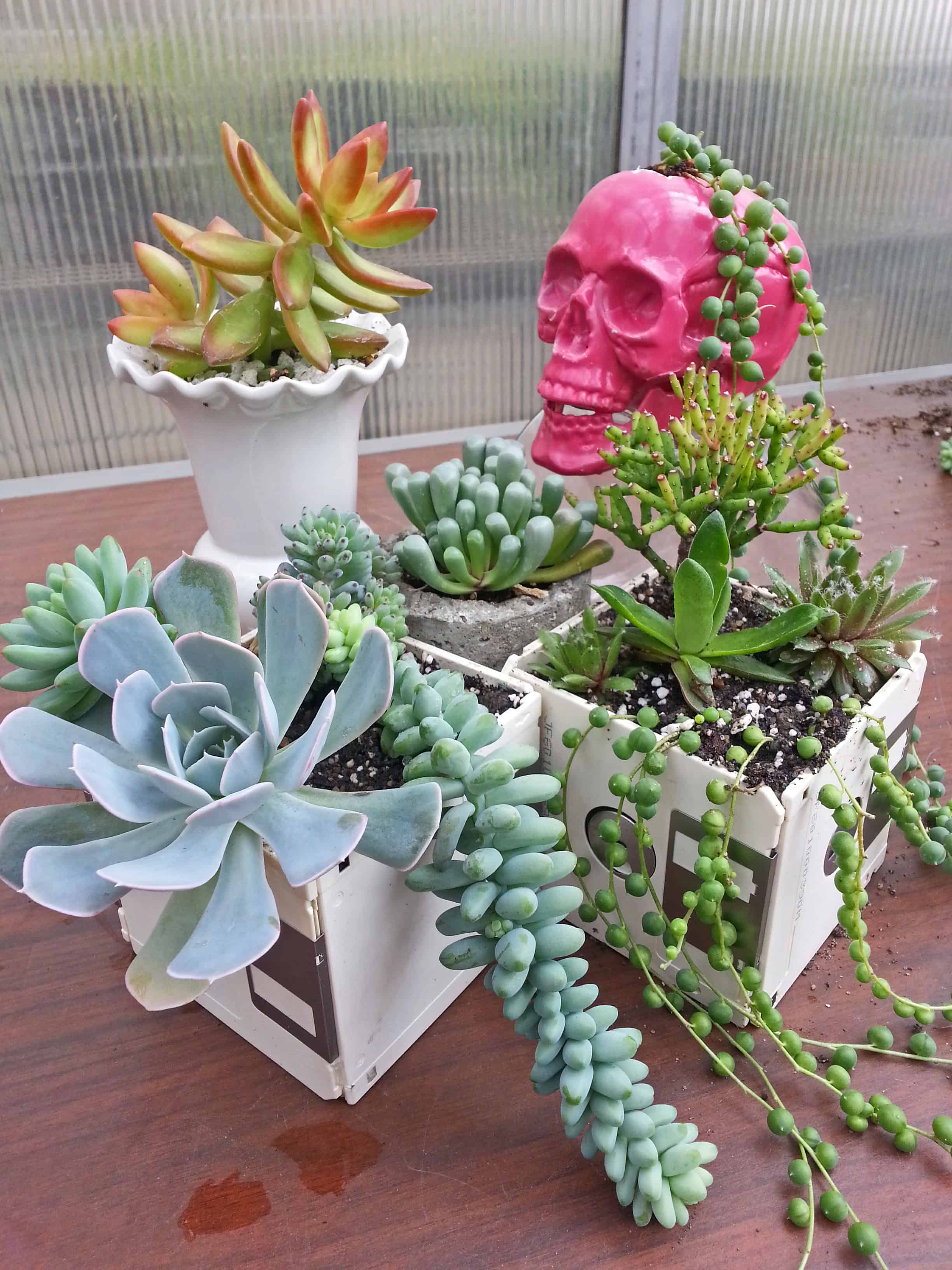 19 Really Amazing Ideas Of Repurposed Succulent Planters 17