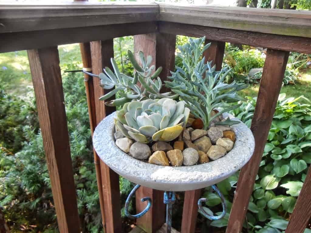 19 Really Amazing Ideas Of Repurposed Succulent Planters 19
