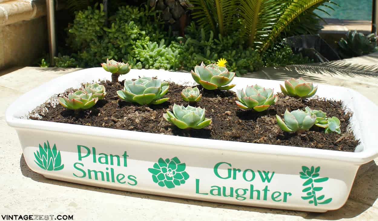 19 Really Amazing Ideas Of Repurposed Succulent Planters 3