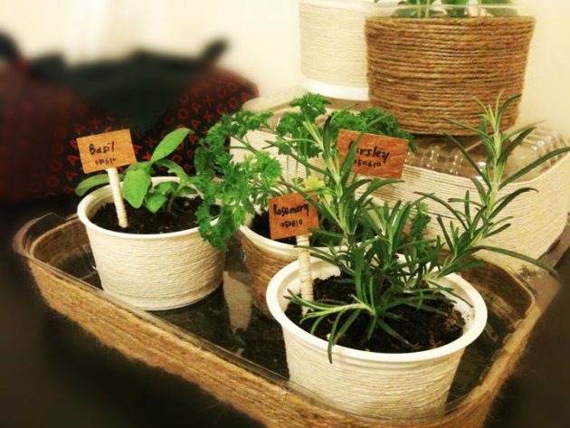 15 Really Inspiring DIY Indoor Garden Designs That Everyone Need To See