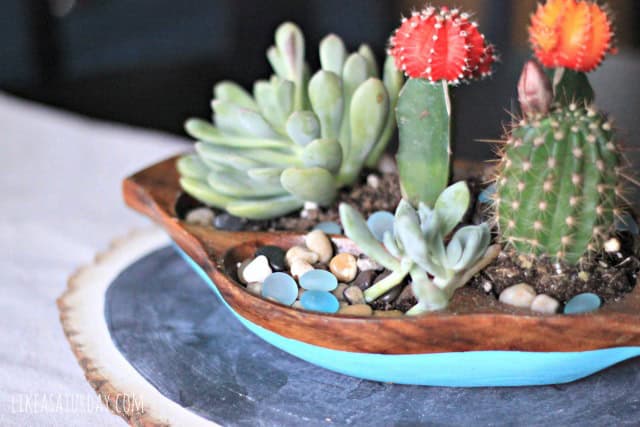 19 Really Amazing Ideas Of Repurposed Succulent Planters 5