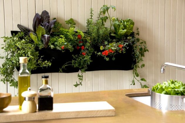 15 Really Inspiring DIY Indoor Garden Designs That Everyone Need To See