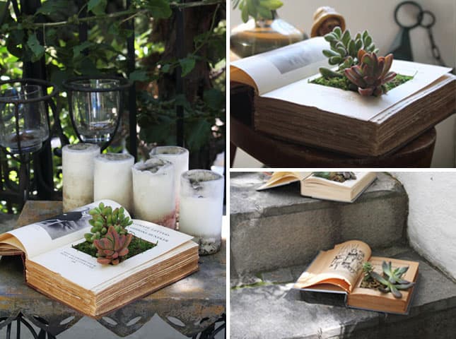 19 Really Amazing Ideas Of Repurposed Succulent Planters 9