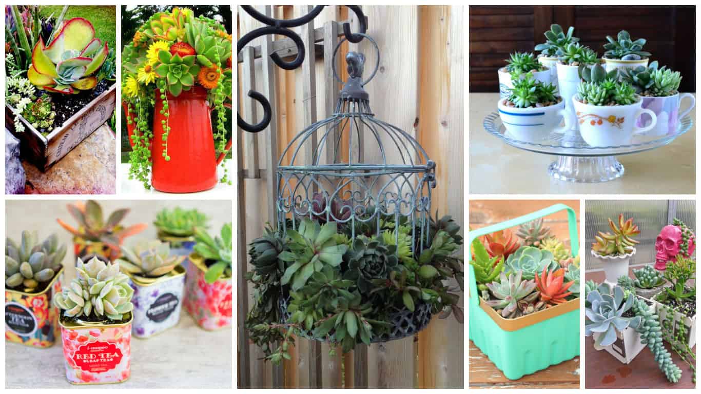 19 Really Amazing Ideas Of Repurposed Succulent Planters