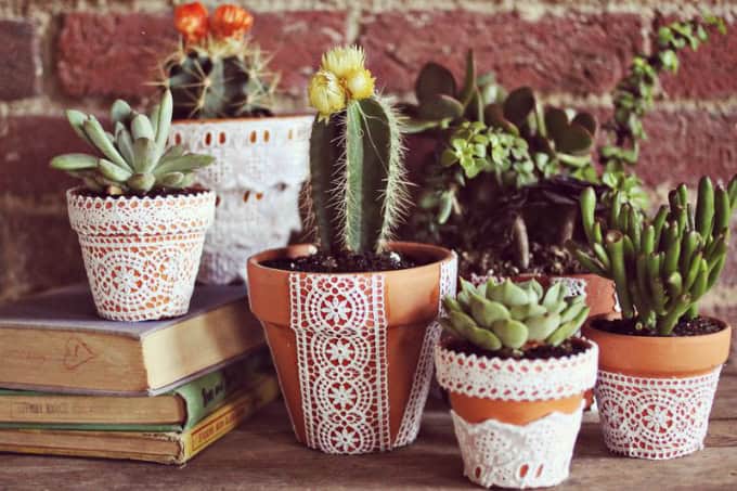 16 Simple Yet Beautiful DIY Cactus Pots That Everyone Can Make 1