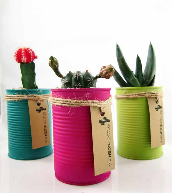 16 Simple Yet Beautiful DIY Cactus Pots That Everyone Can Make