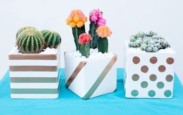16 Simple Yet Beautiful DIY Cactus Pots That Everyone Can Make 11