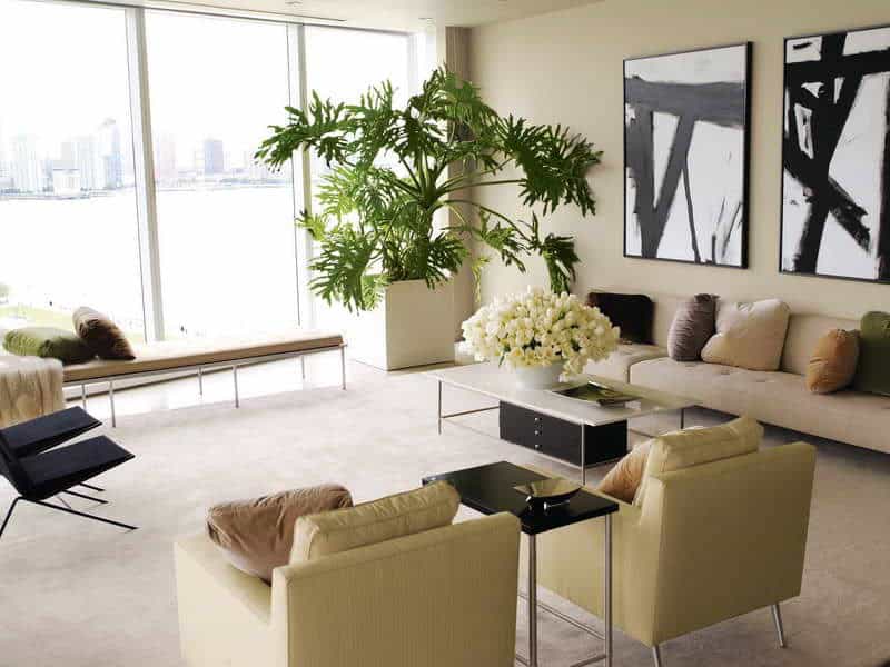 best flowers for living room