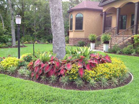 Decorating The Landscape Around Trees, Landscaping Ideas Around Trees