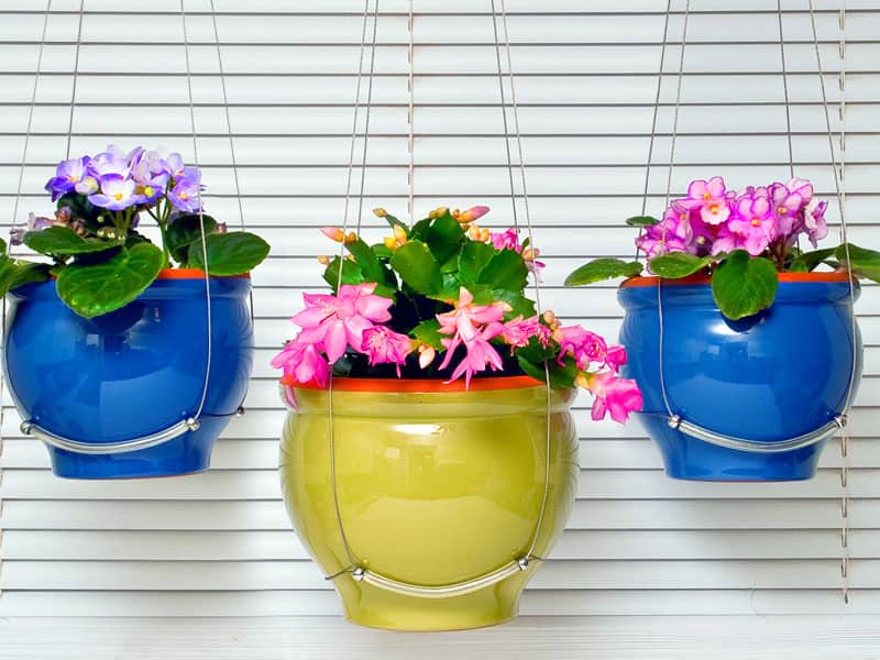 17 Fascinating Examples How To Arrange Hanging Flowers For Your Yard 14