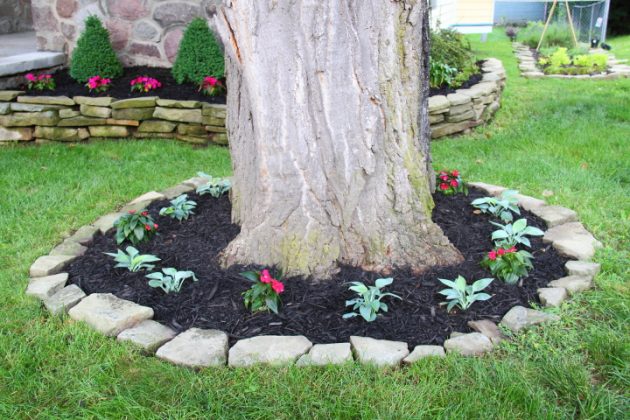 Ideas For Around Trees Ideas For Around Trees