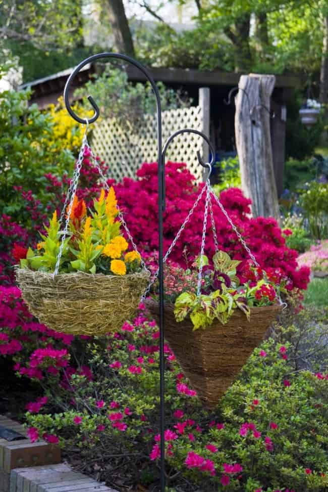17 Fascinating Examples How To Arrange Hanging Flowers For Your Yard