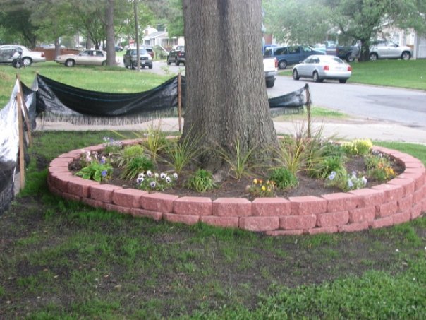 Decorating The Landscape Around Trees, Raised Flower Beds Around Trees