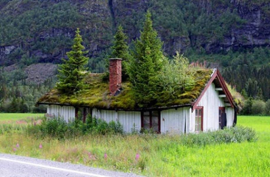 12 Outstanding Scandinavian Homes With Green Roofs That Look As Fabulous 5