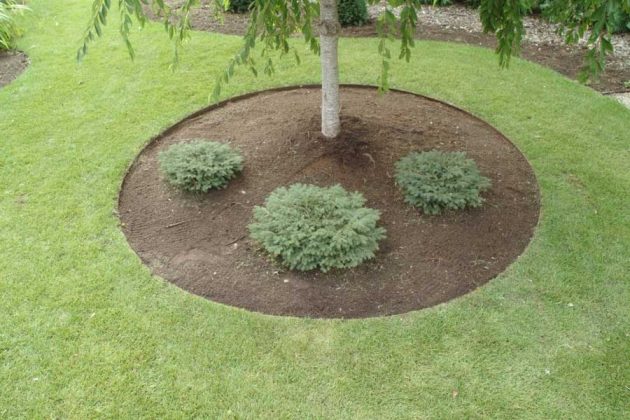 15 Beautiful Ideas For Decorating The Landscape Around The Trees