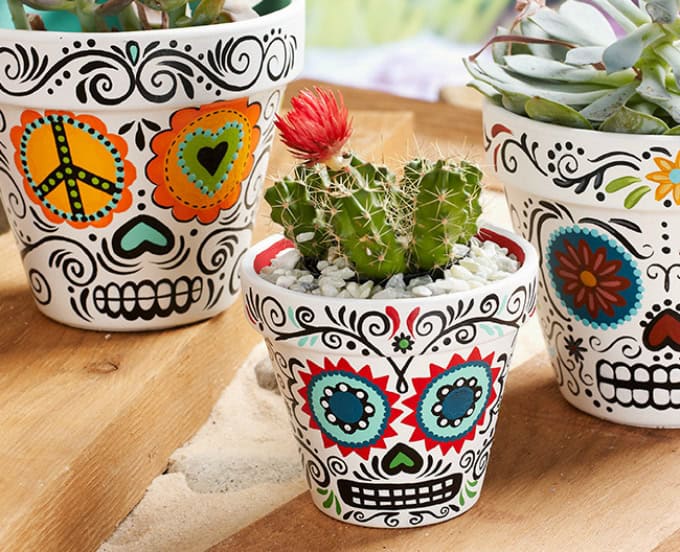 16 Simple Yet Beautiful DIY Cactus Pots That Everyone Can Make 7