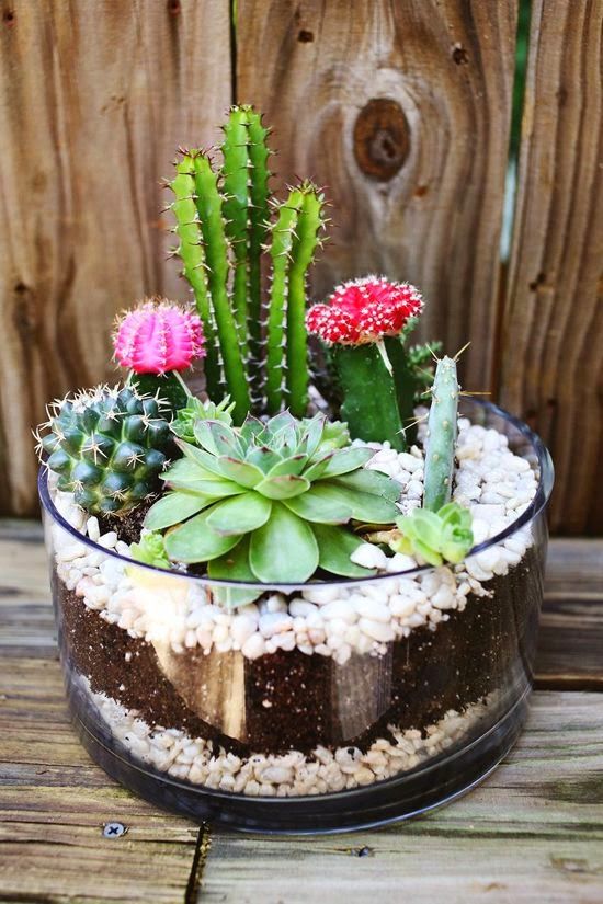 16 Simple Yet Beautiful DIY Cactus Pots That Everyone Can Make