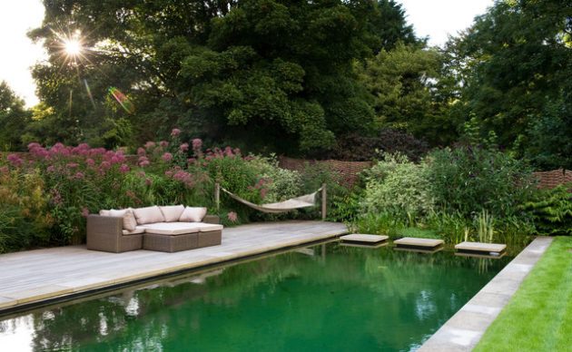 17 Engrossing Natural Swimming Pools That Will Delight You