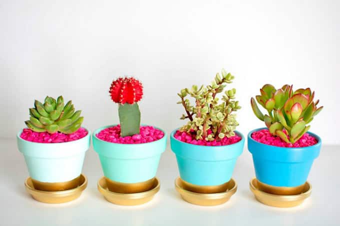 16 Simple Yet Beautiful DIY Cactus Pots That Everyone Can Make 9