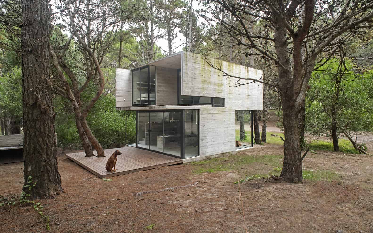 Contemporary modern house with minimalist concrete exterior surrounded by lush forest, featuring large glass windows and a spacious wooden deck, blending with nature in innovative architecture.