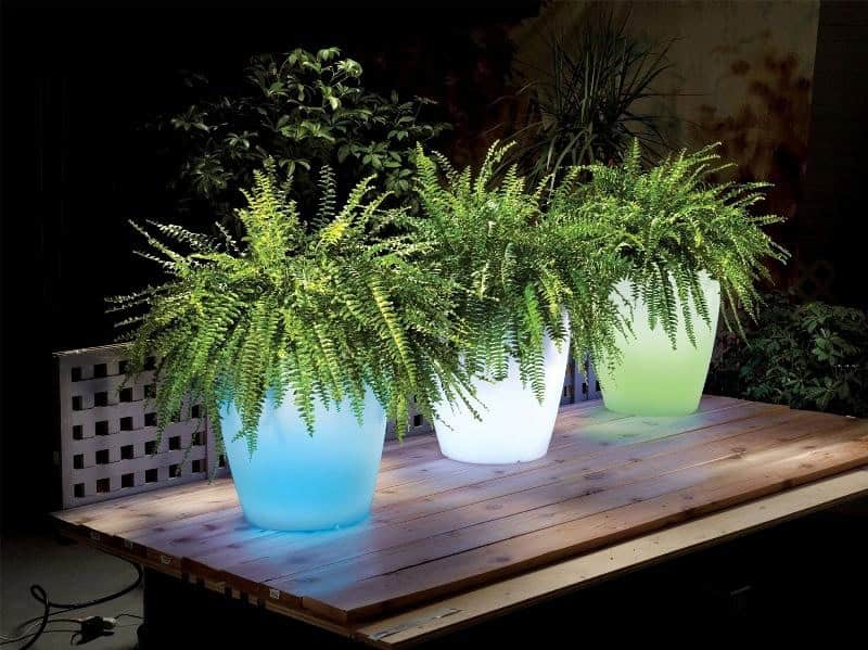 15 Astonishing Illuminated Planter Designs That You Shouldn't Miss 14