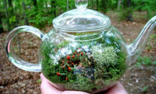 17 Irresistible DIY Teapot Garden Decorations That You Shouldn't Miss