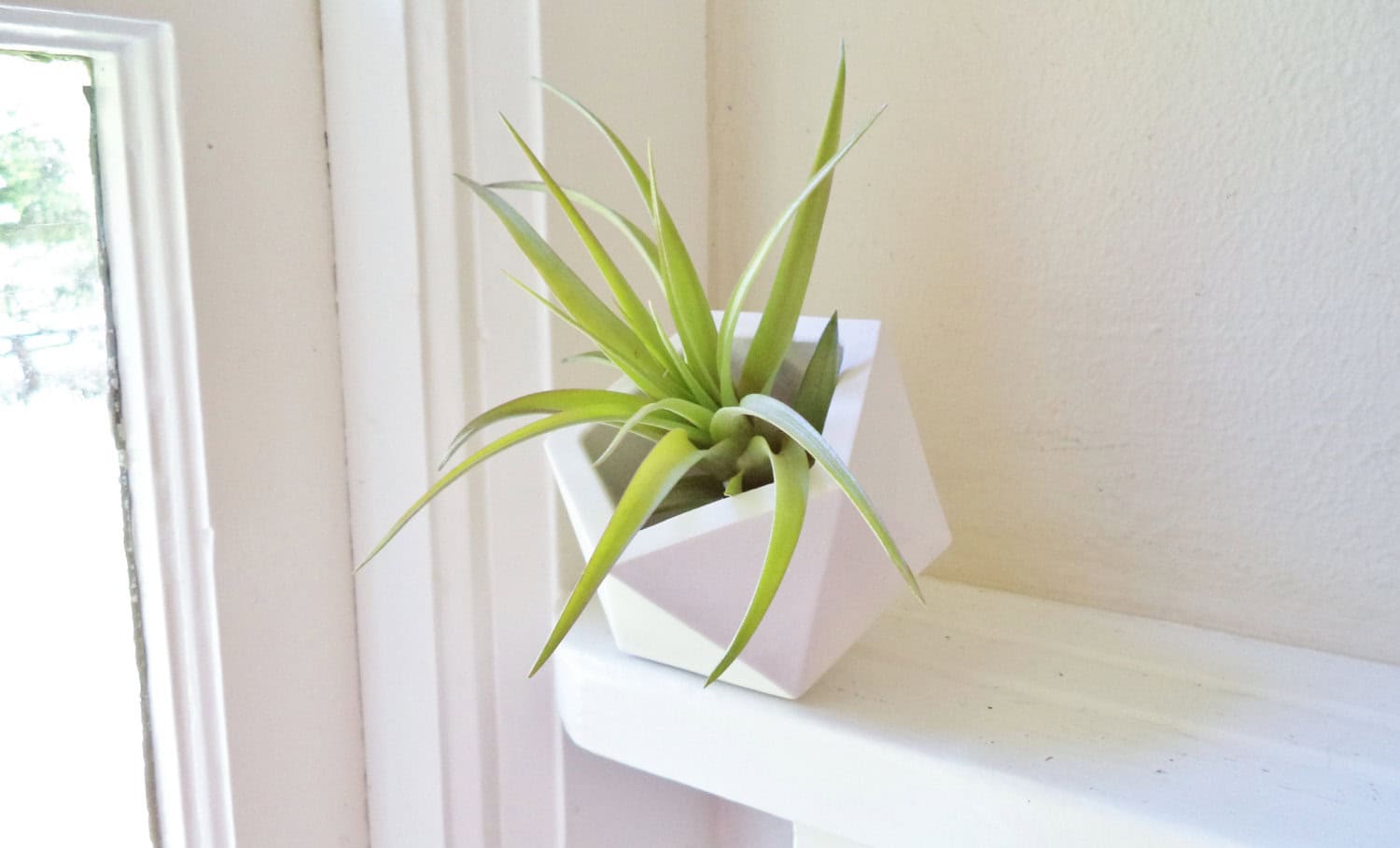 Geometric icosahedron planter Buy it on: www.etsy.com