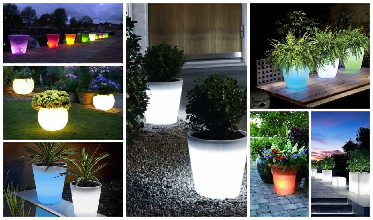 15 Astonishing Illuminated Planter Designs That You Shouldn’t Miss