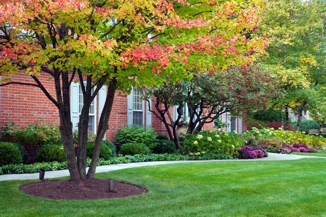 16 Magnificent Autumn Decorating Ideas For Your Backyard 14