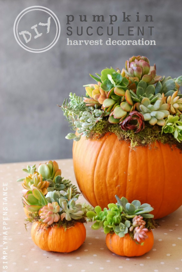 15 Amazing DIY Pumpkin Decorations You Can Make This Fall