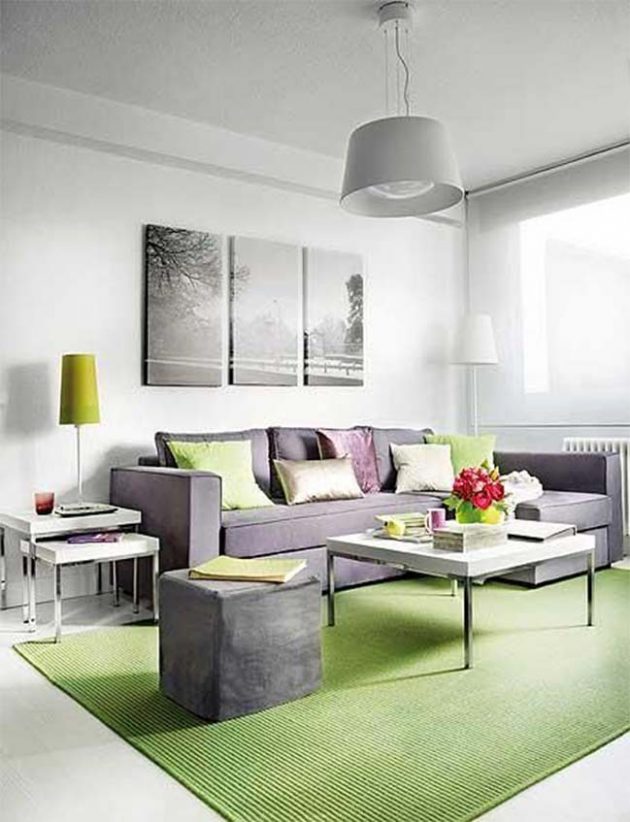20 Really Amusing Living Rooms With, Grey And Green Living Room