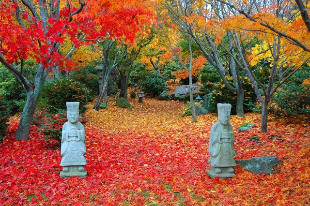 16 Magnificent Autumn Decorating Ideas For Your Backyard 6