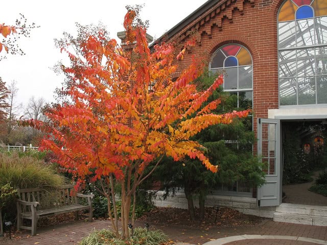 16 Magnificent Autumn Decorating Ideas For Your Backyard 9