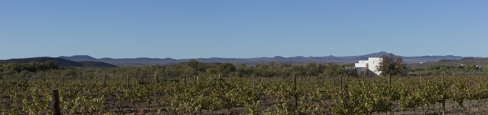 Swartberg House by Openstudio Architects in the Great Karoo, South Africa swartberg-house-by-openstudio-architects-in-the-great-karoo-south-africa-10