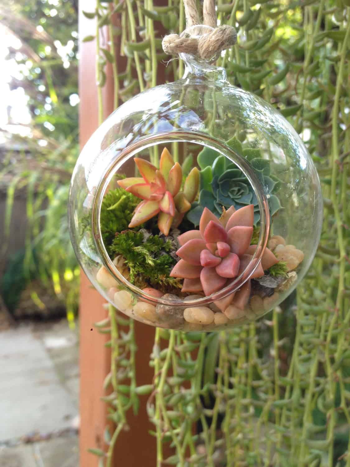 Hanging terrarium Buy it on: www.etsy.com