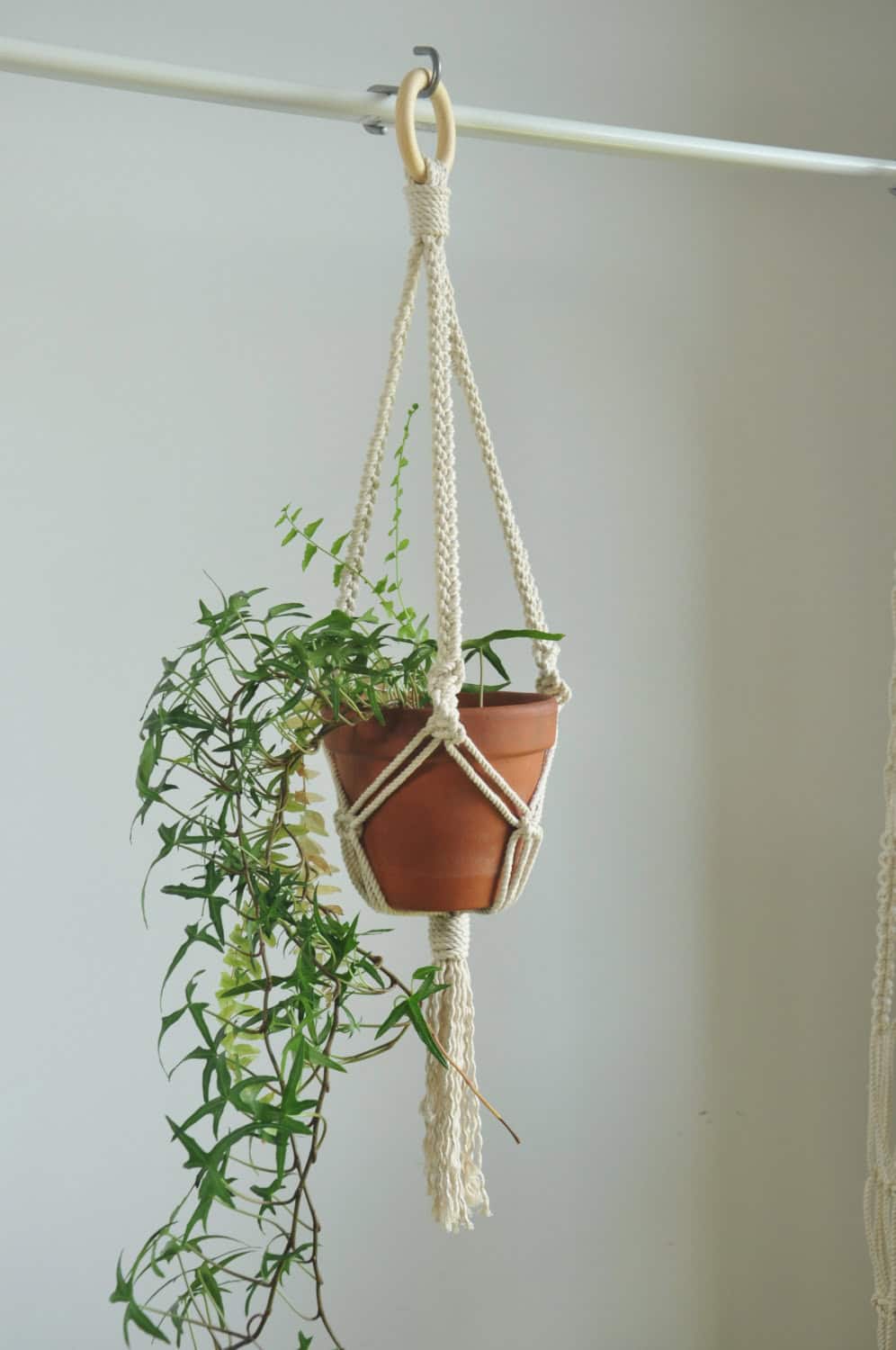 macrame plant hanger Buy it on: www.etsy.com