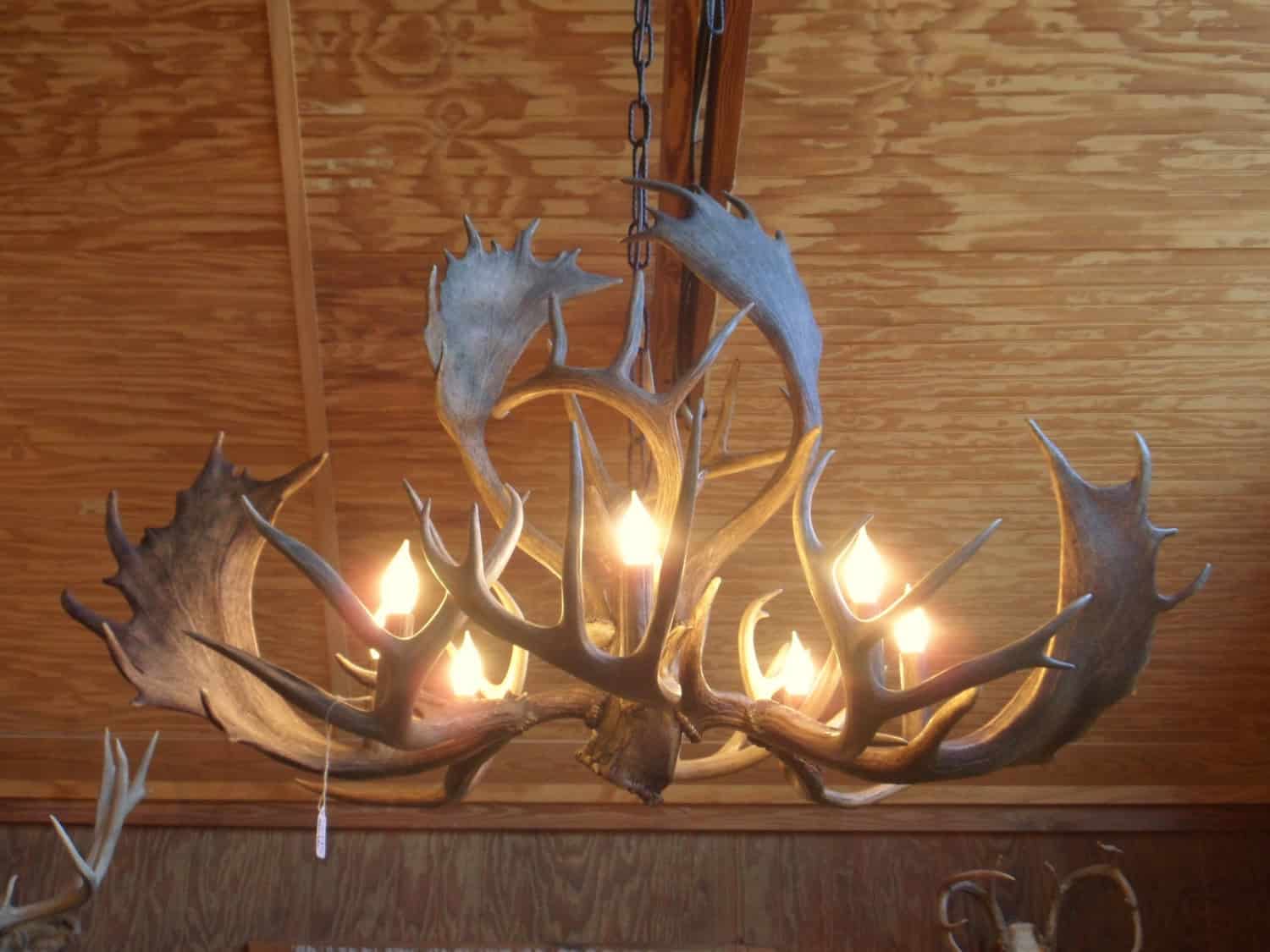 Antler Chandelier Buy it on: www.etsy.com